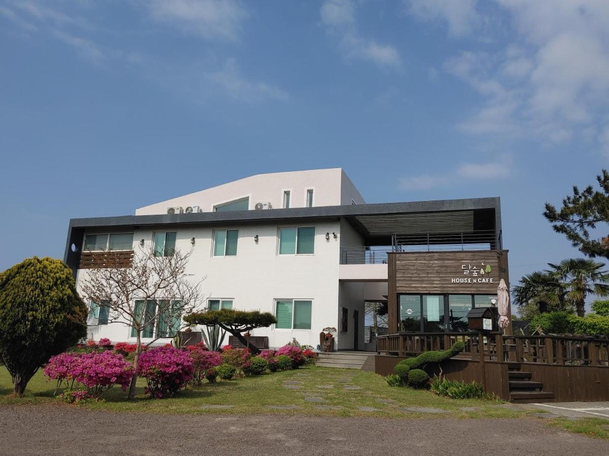 Moon Forest Guesthouse Чеджудо Экстерьер фото
